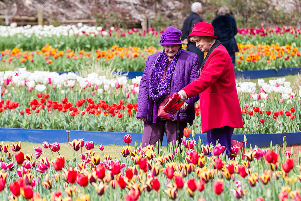 Colourful 25 years at Araluen