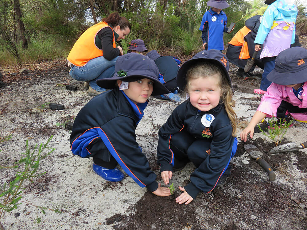 Little tree planters make a difference