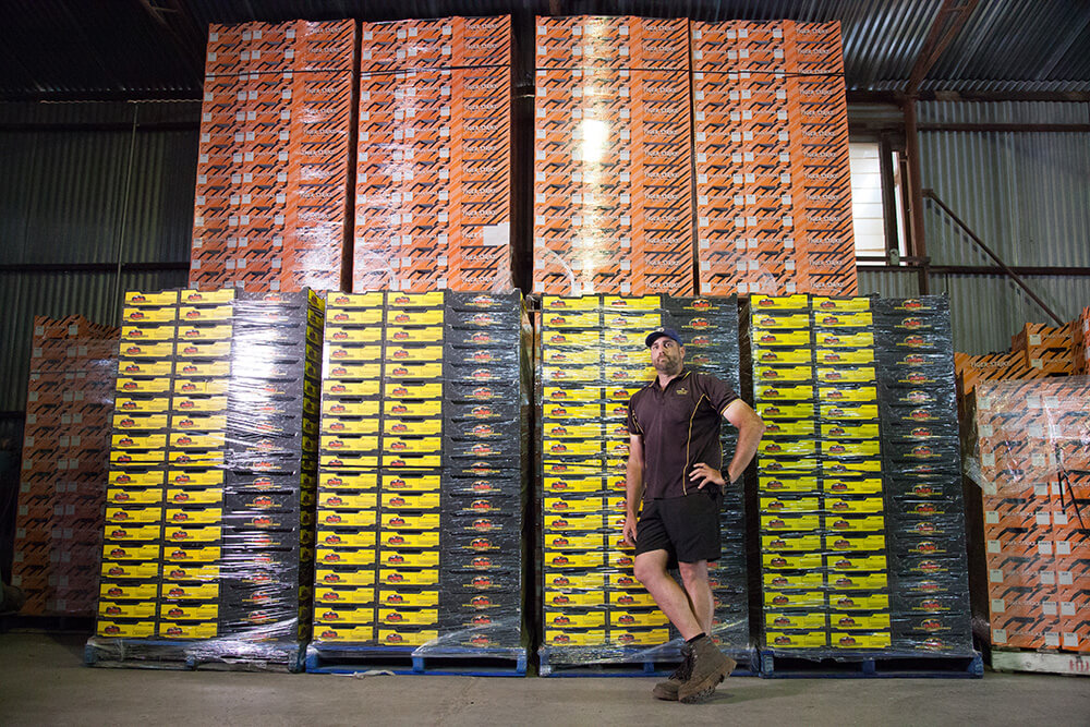 Fruit pickers could dump travel plans