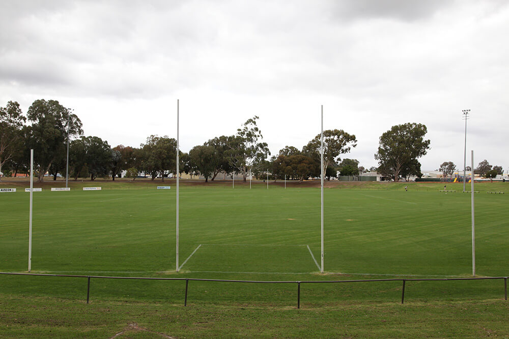 Bulldogs back after ban