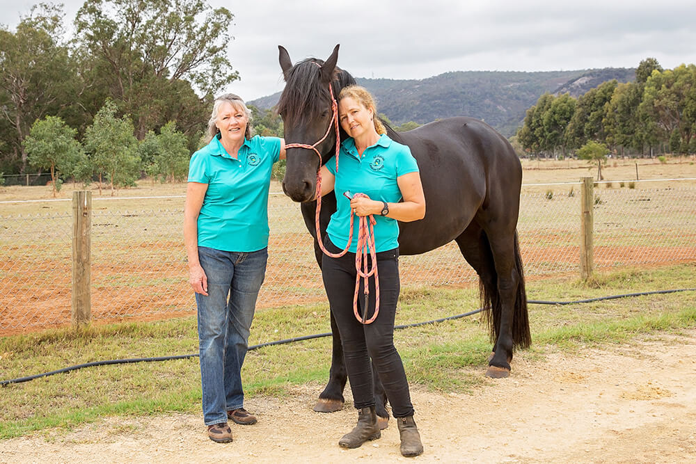 Biosecurity threat: stable fly hits Serpentine Jarrahdale, Armadale