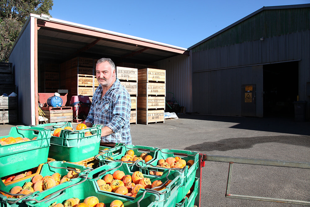 Growers want answer on tax