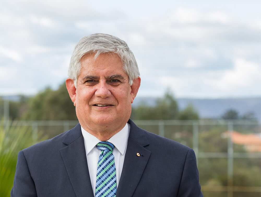 Mediscare and Libs failure to sell policy lost votes: Wyatt