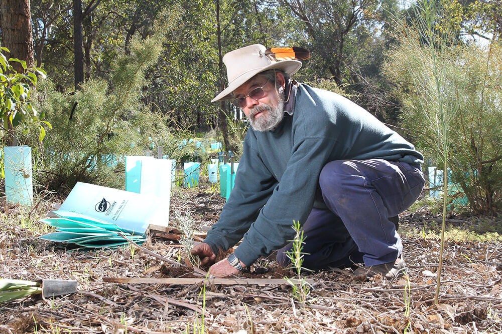 Find a National Tree Day event