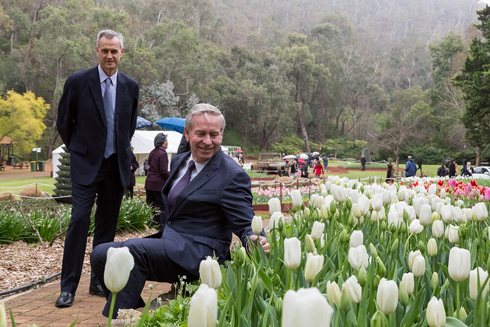 Araluen’s tulip season declared open