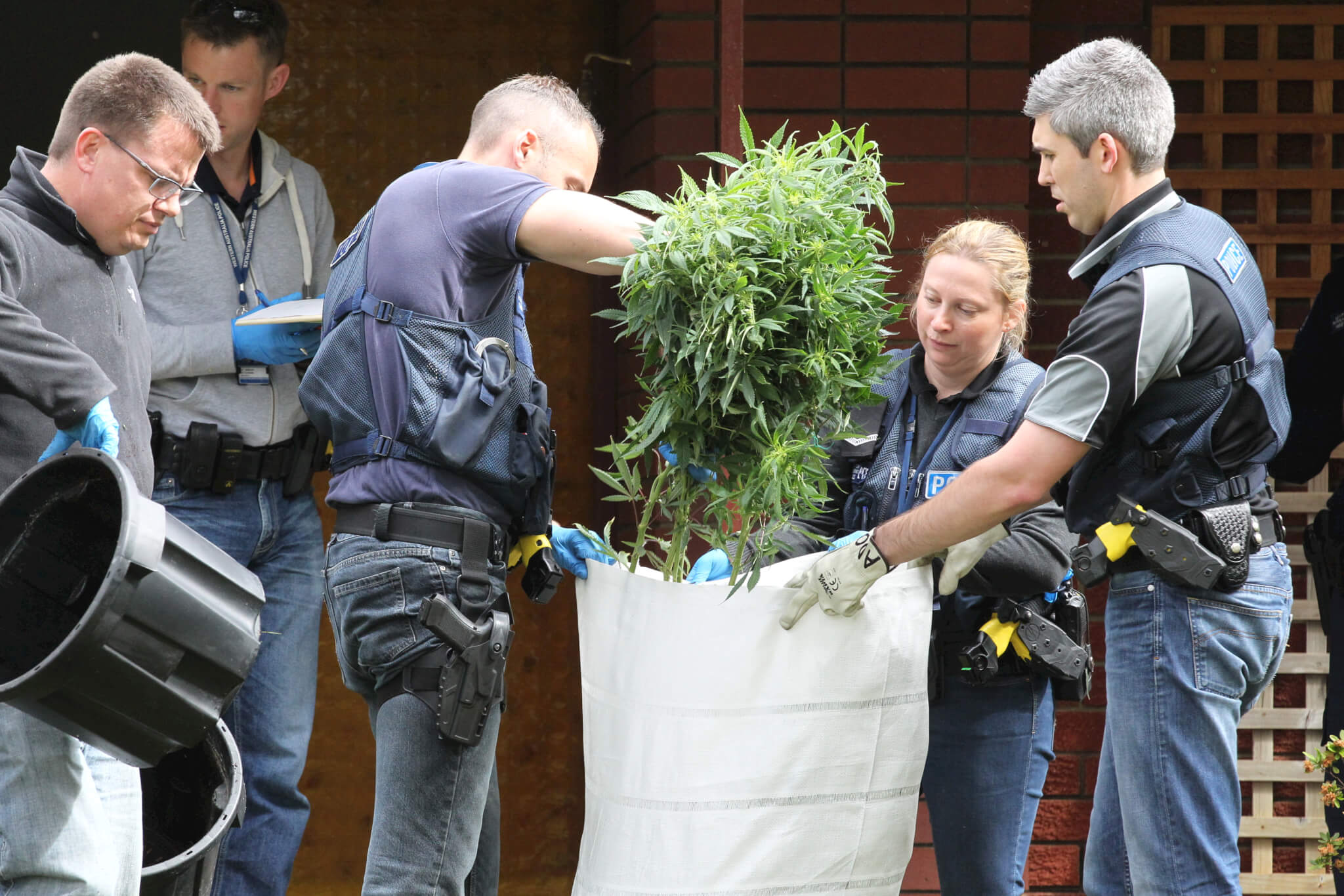 Police weed out dealer