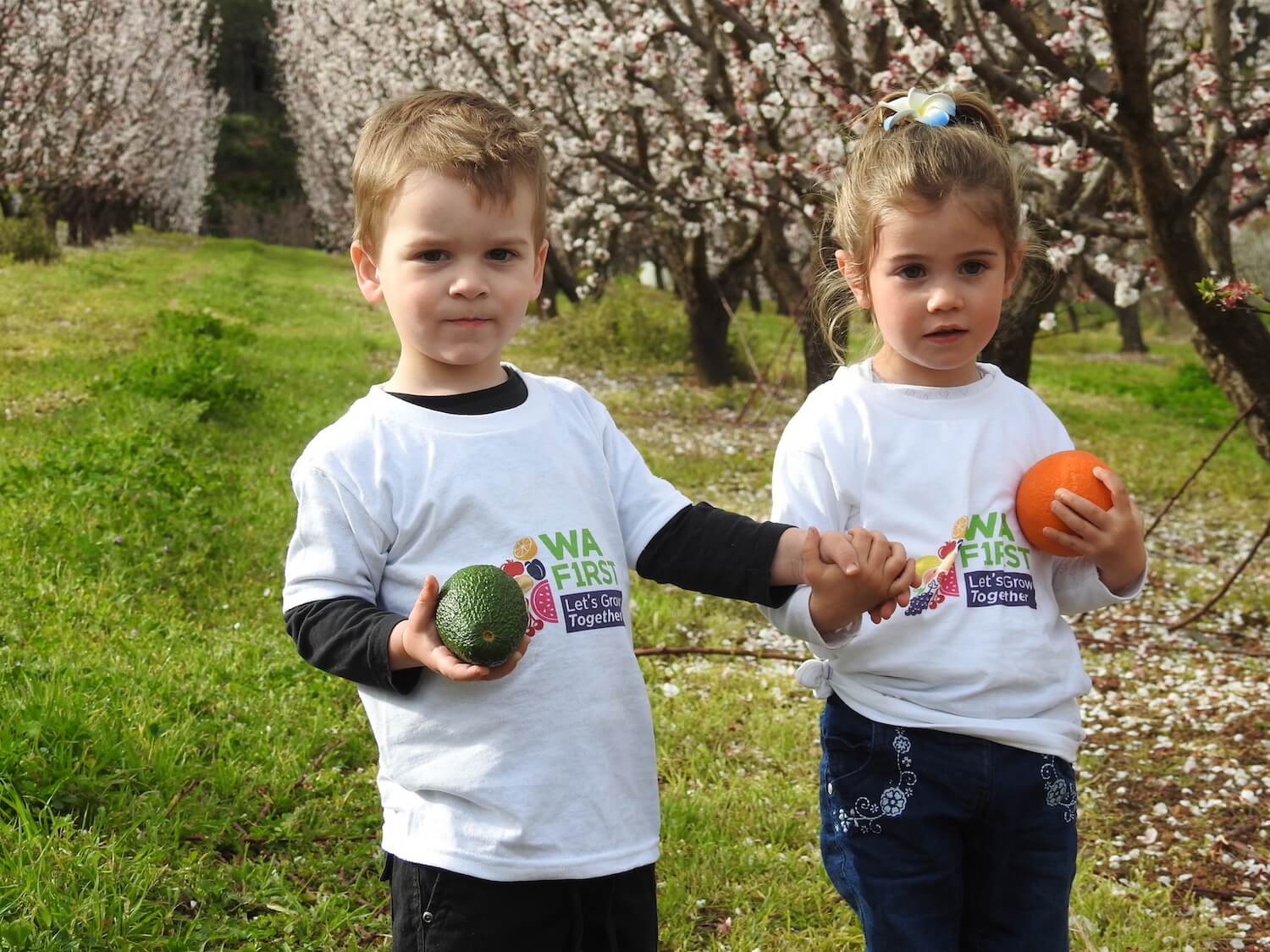 Fruity campaign launch