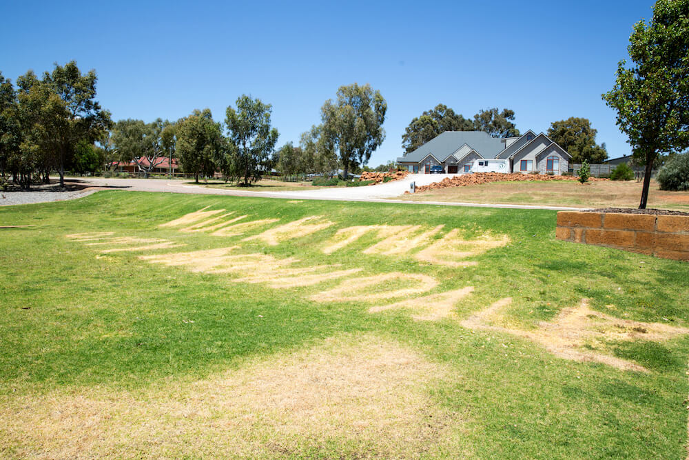 Grass-holes poison lawn