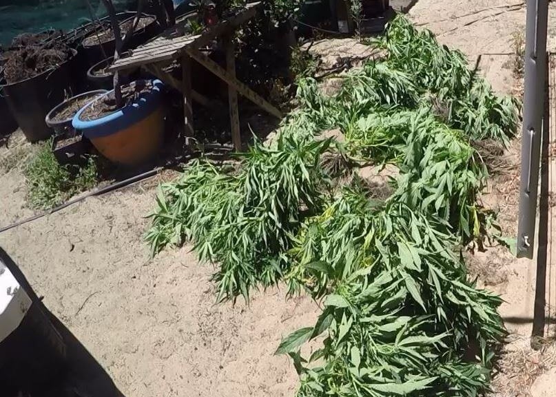 Drugs off street after police raids