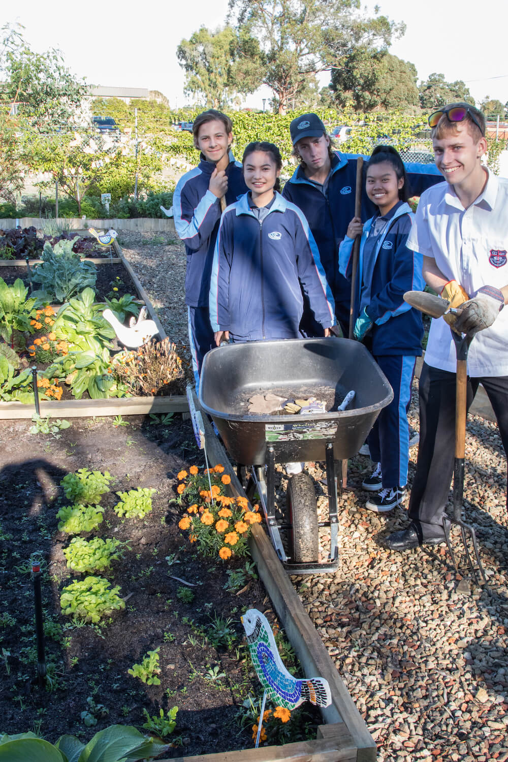 Gaining their green thumbs