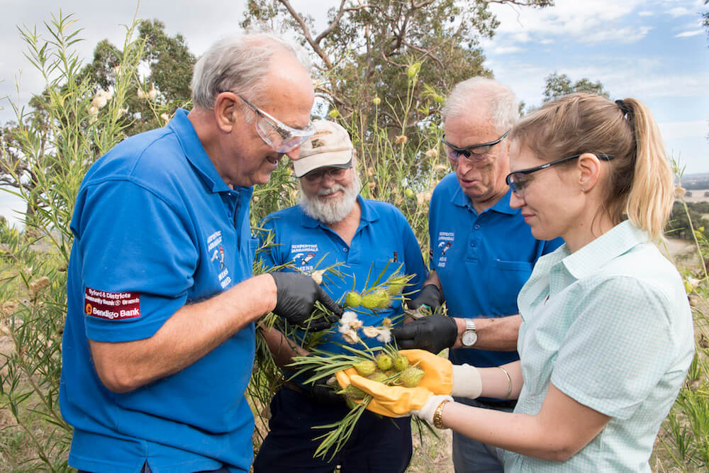 Educating schools on poisonous weeds