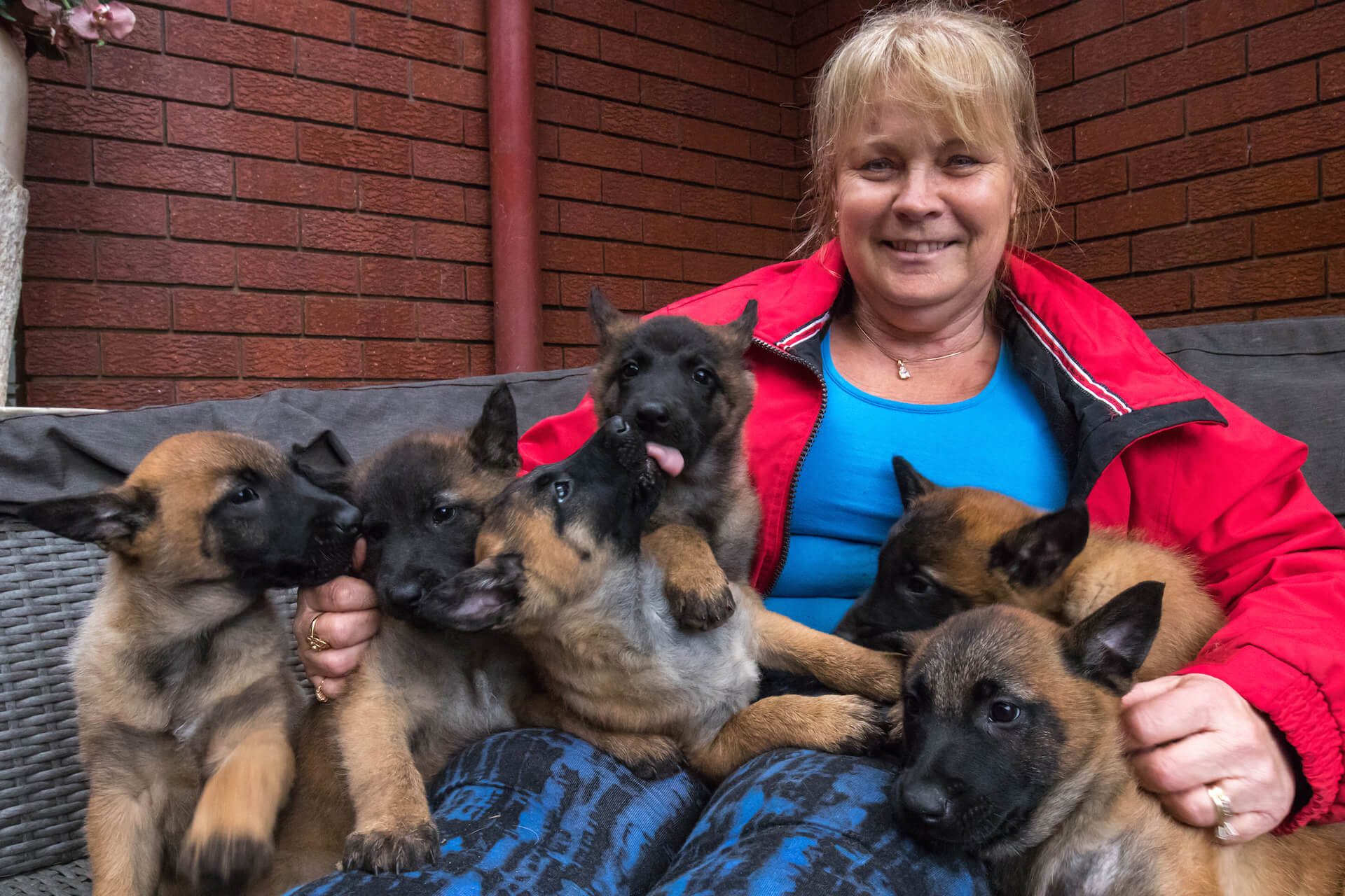 Puppies ready for a career in the forces