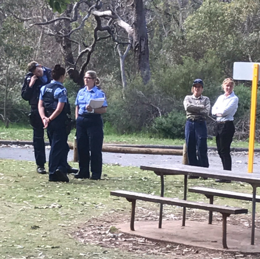 Lost children found safe by police