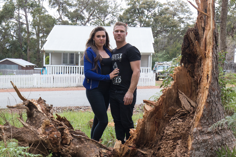 Tree damage anger
