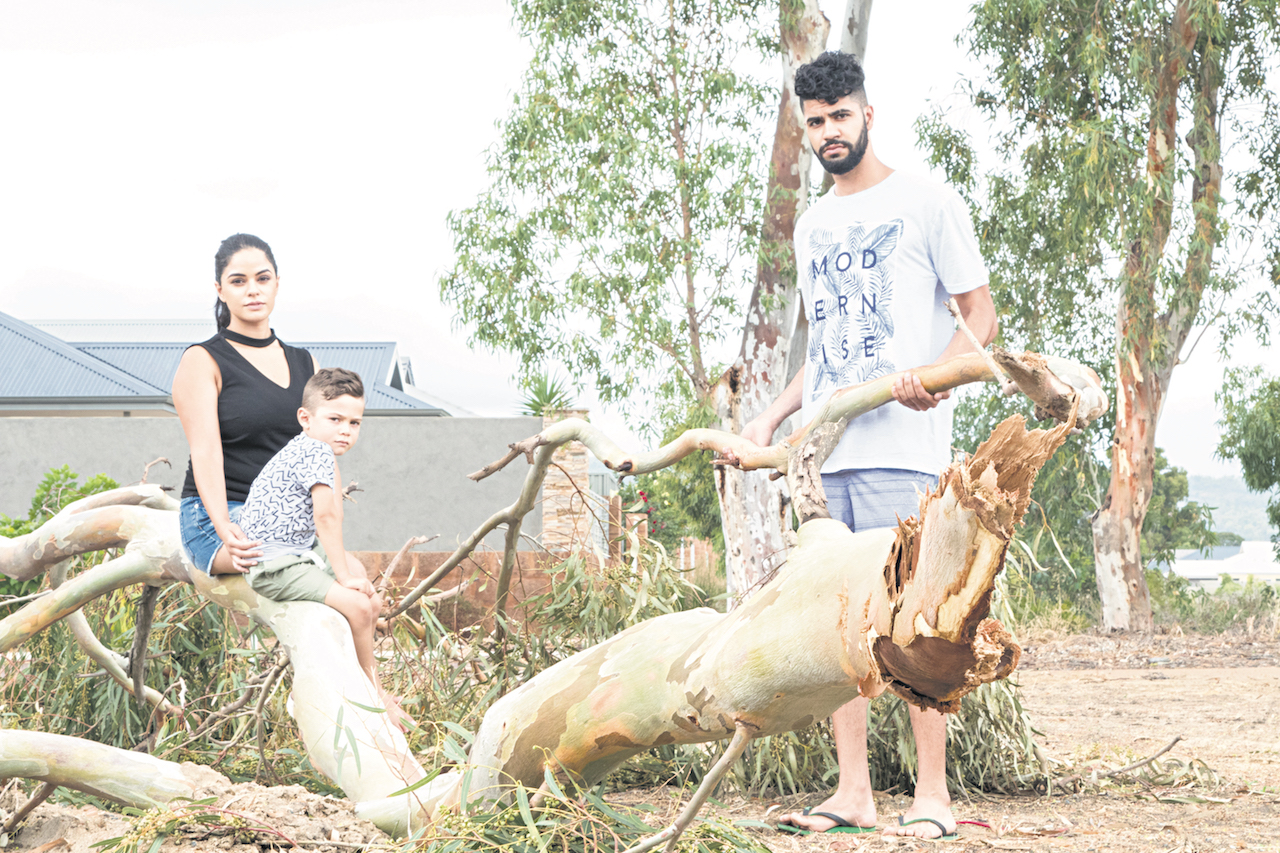Tree threat to homes