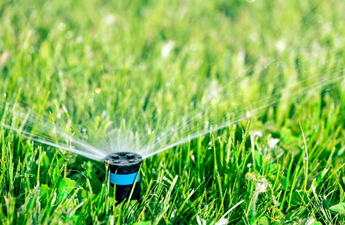 Byford named among worst water wasters