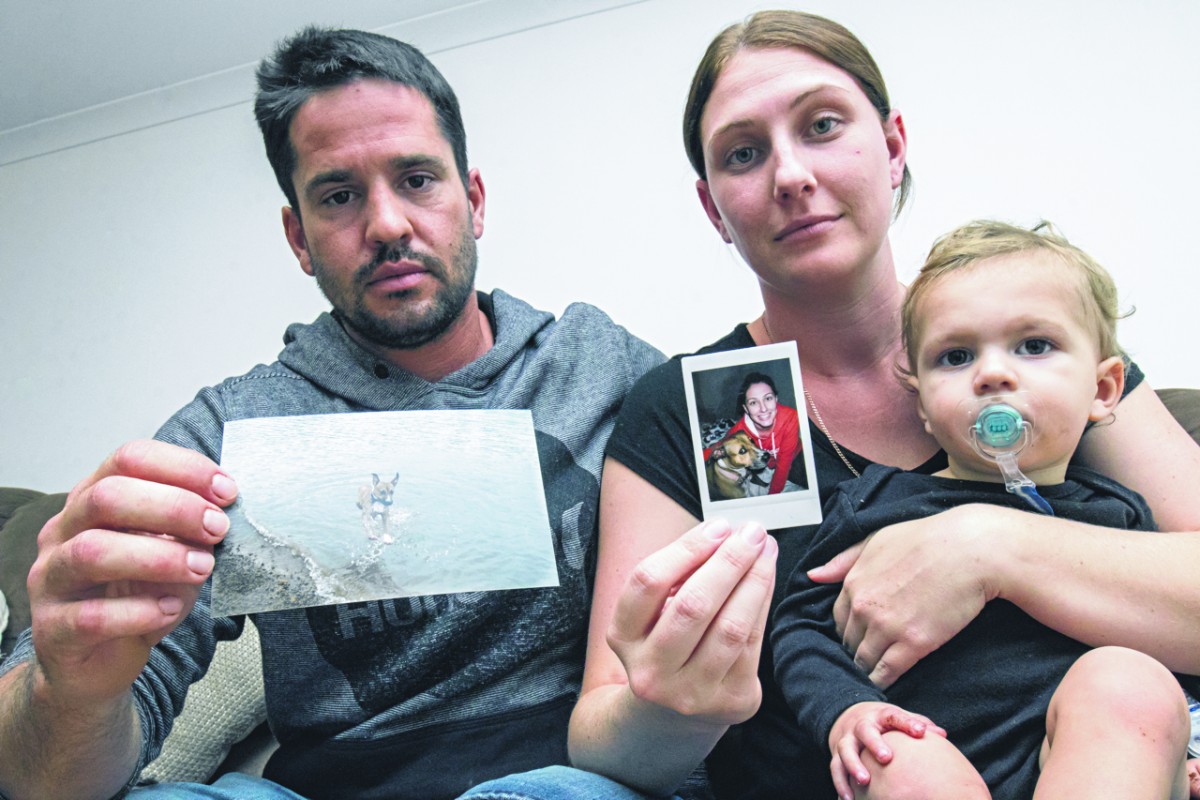 Family dog found dead on train line