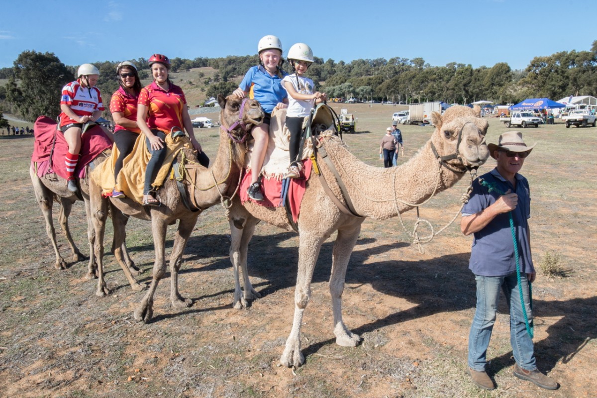 Thousands gather for fun food, farm fest