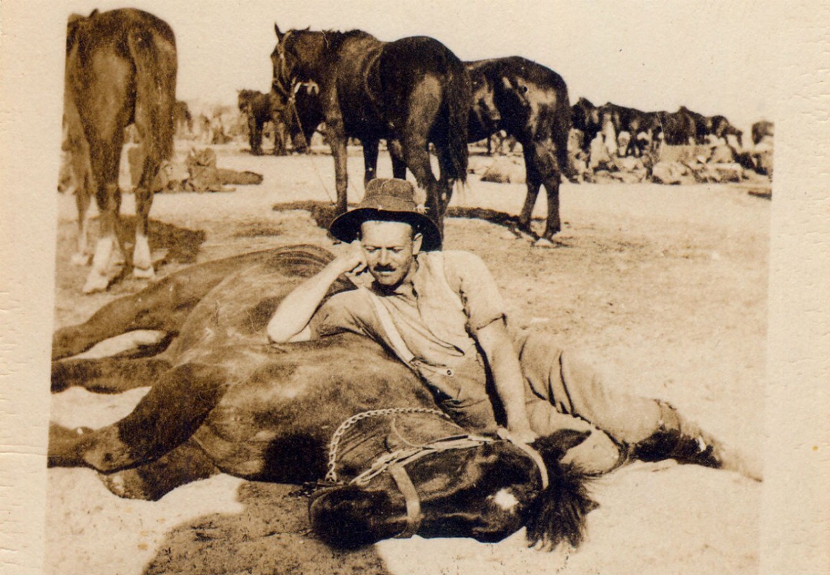 Armadale’s war horse history marked in style