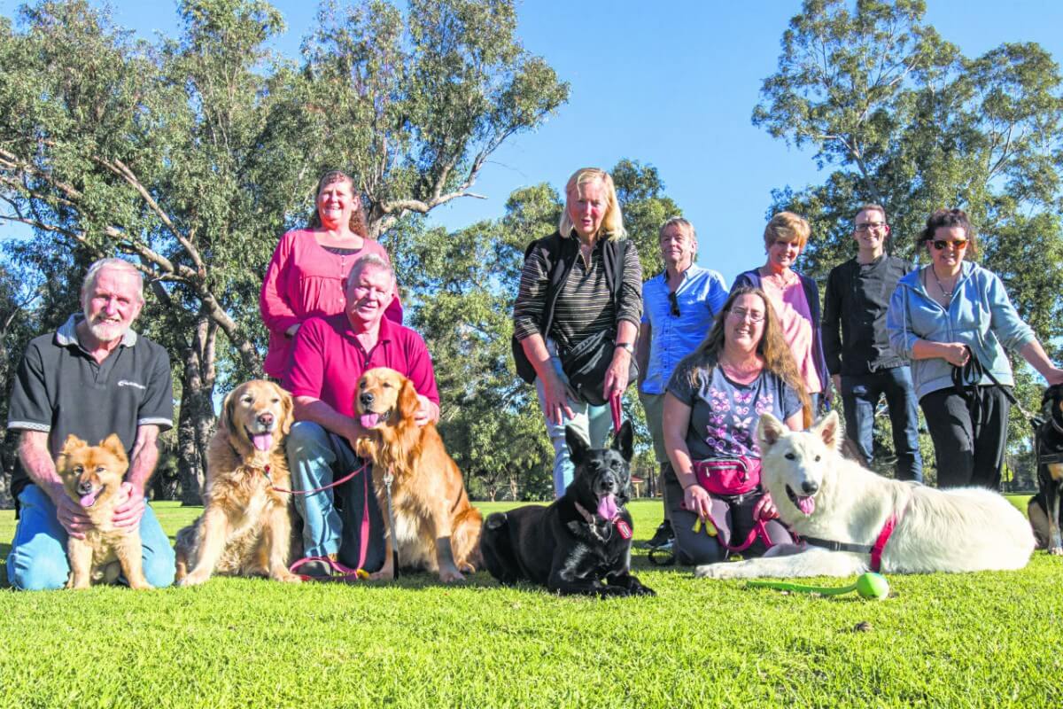 Dog park trial gets the nod