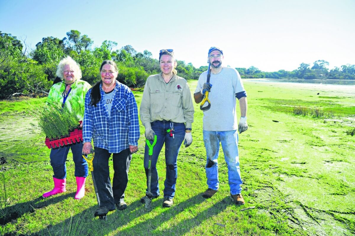 Volunteers show their green side