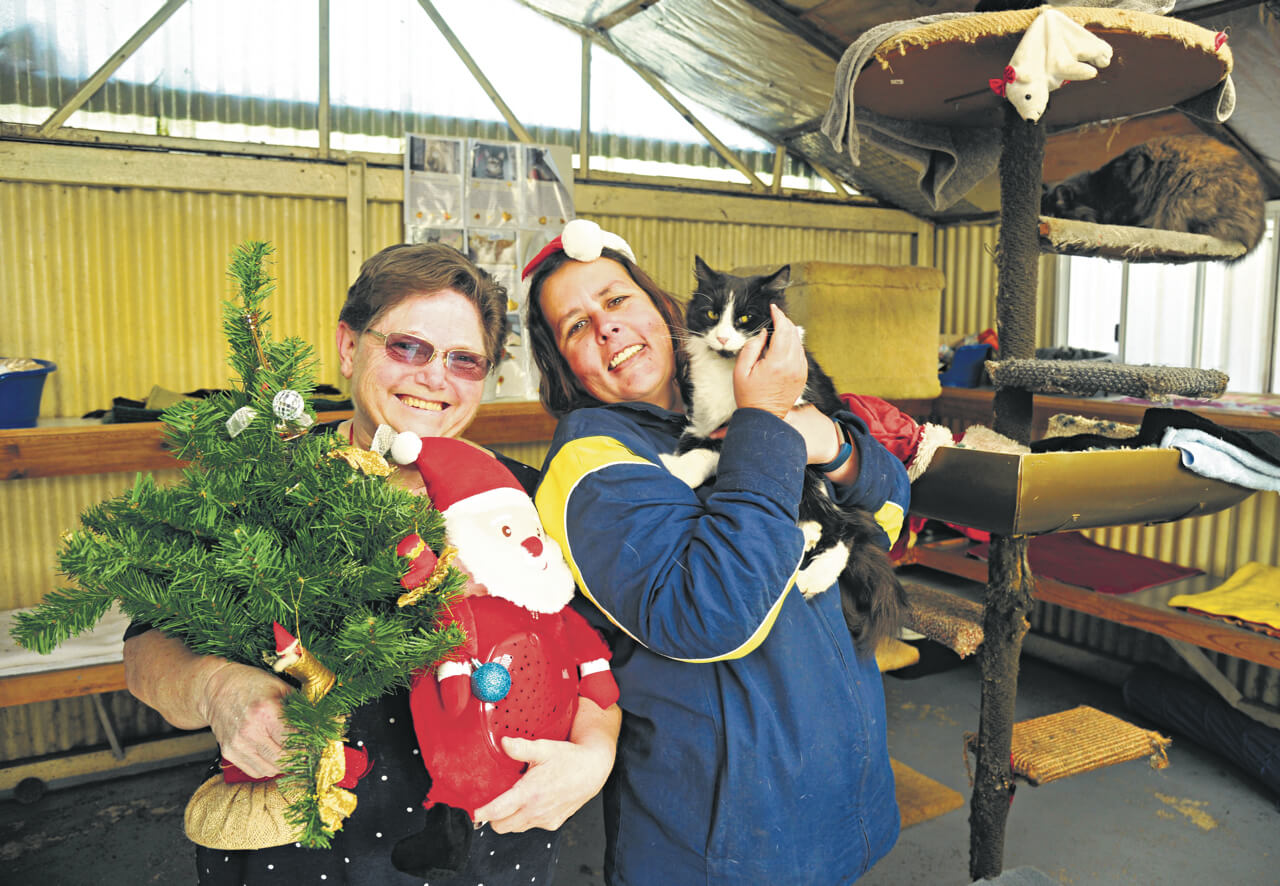 Christmas in July for homeless pets