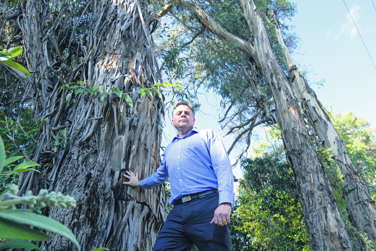 I am not comfortable with this: Cr Coales