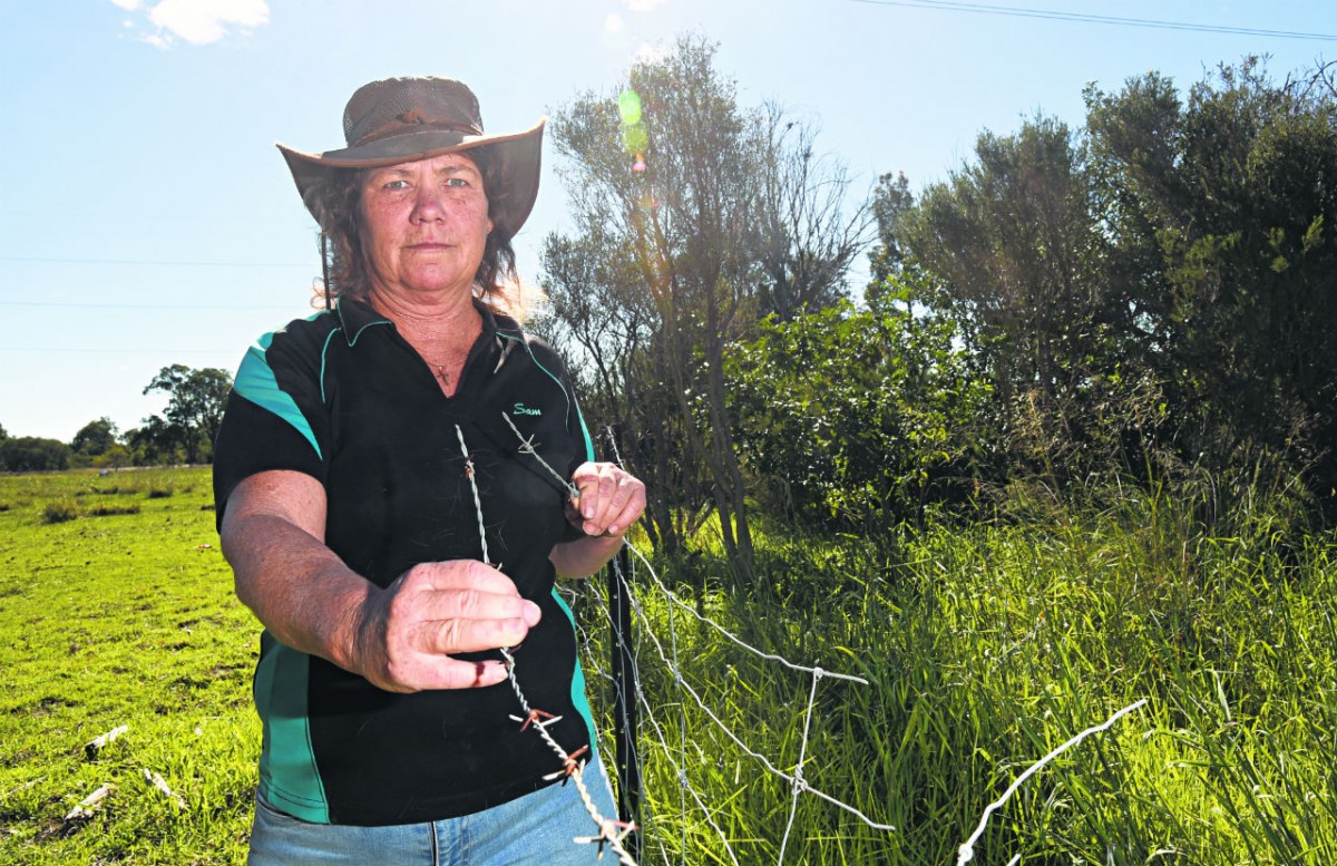 Motorbiking vandals target paddock fences