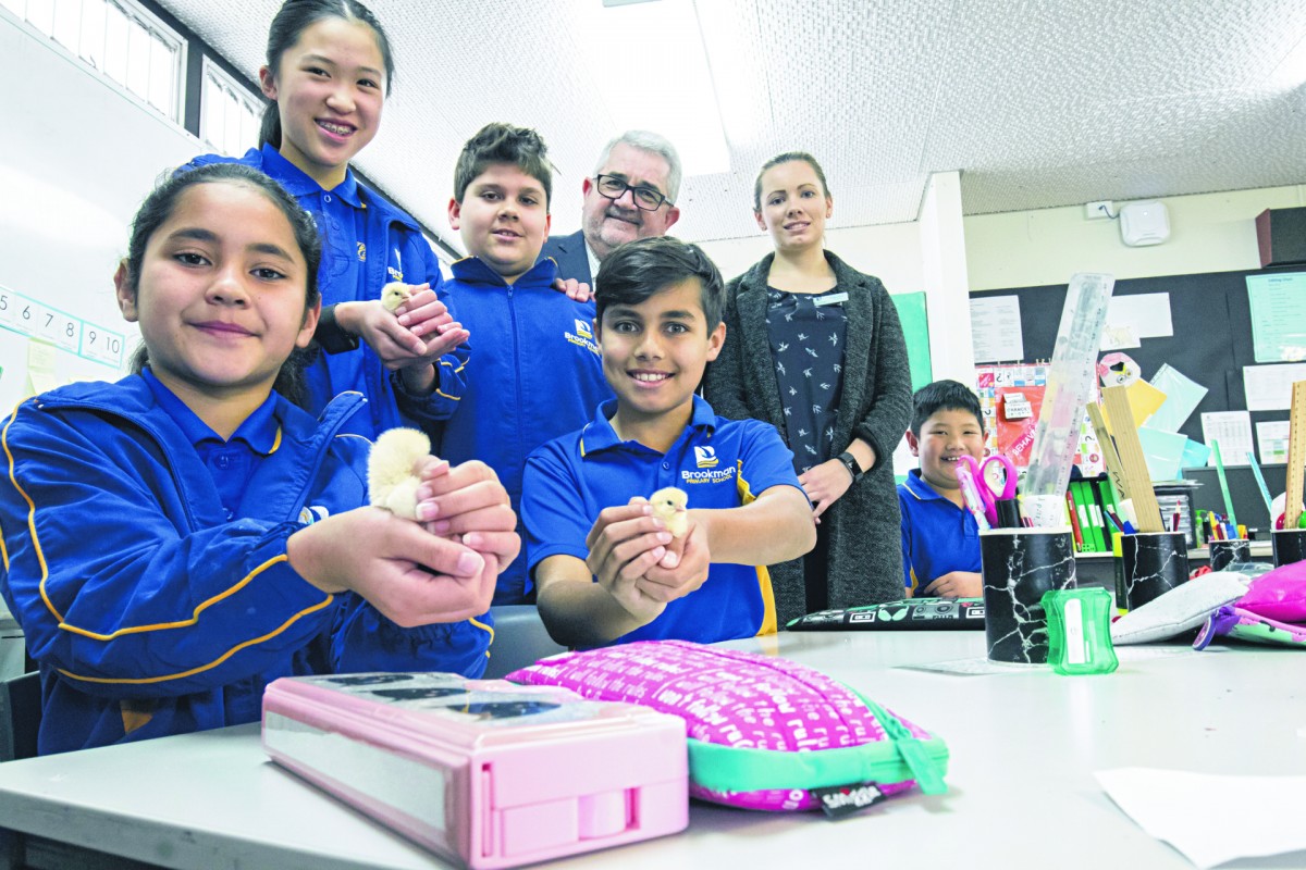 School vying for top honours