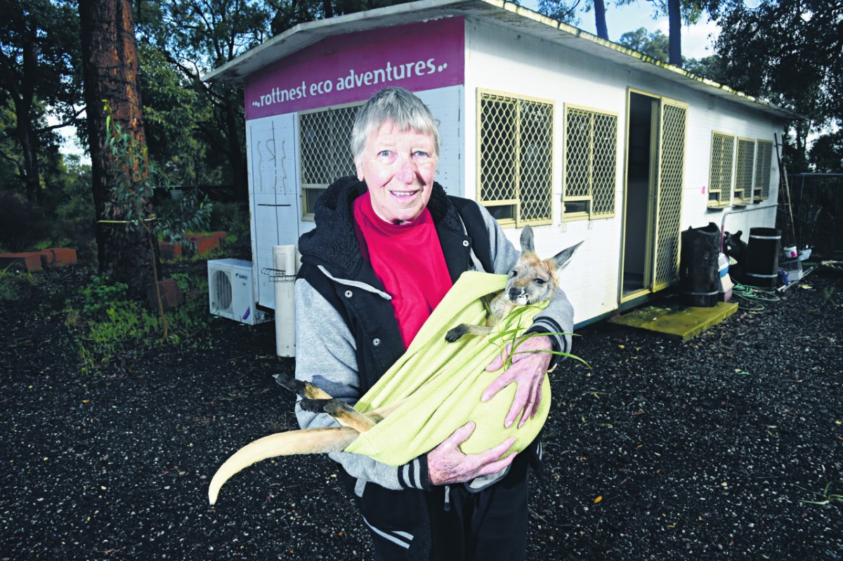 Caring Carolyn’s rescue mission