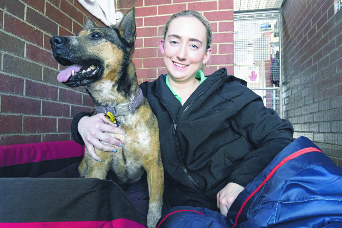 Sleep out to save them
