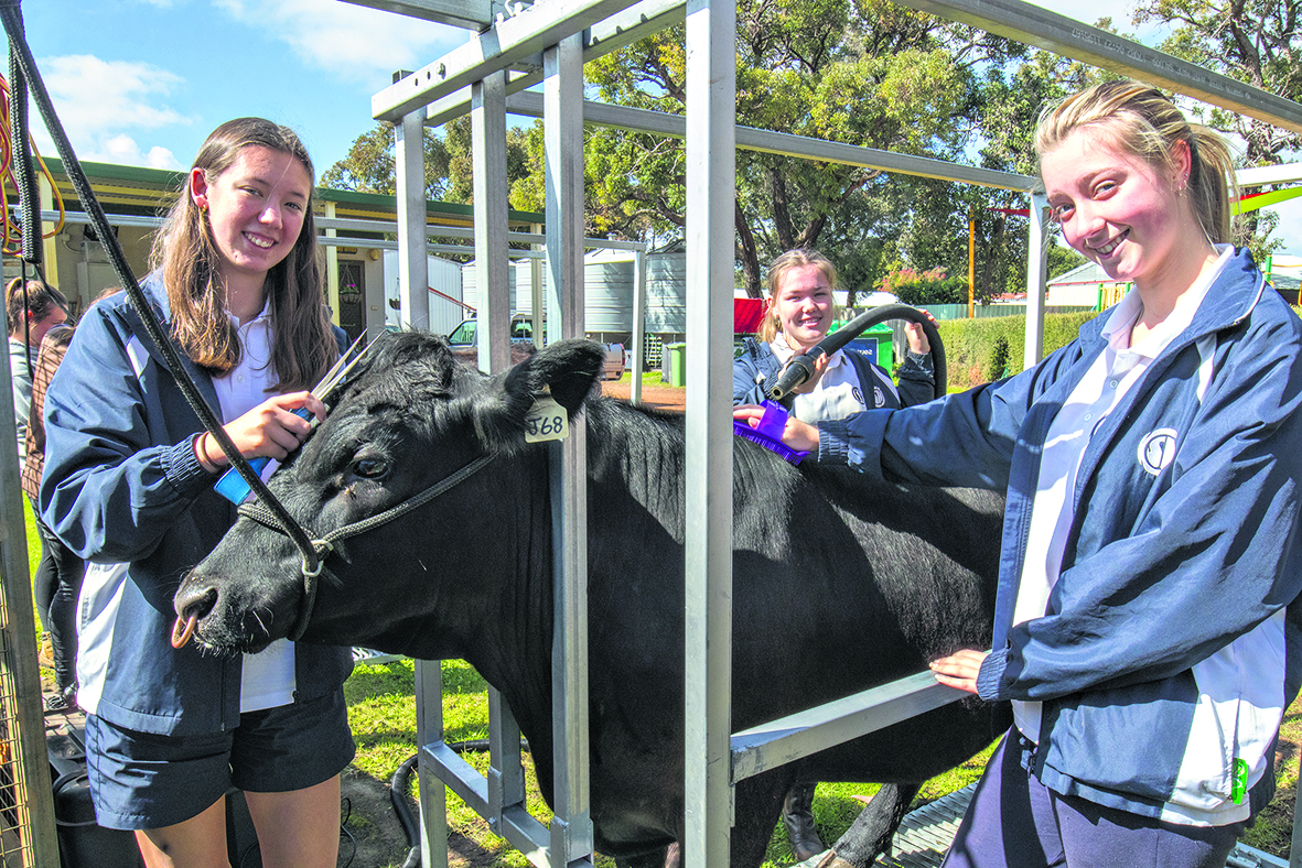 Future farmers to battle it out in comp