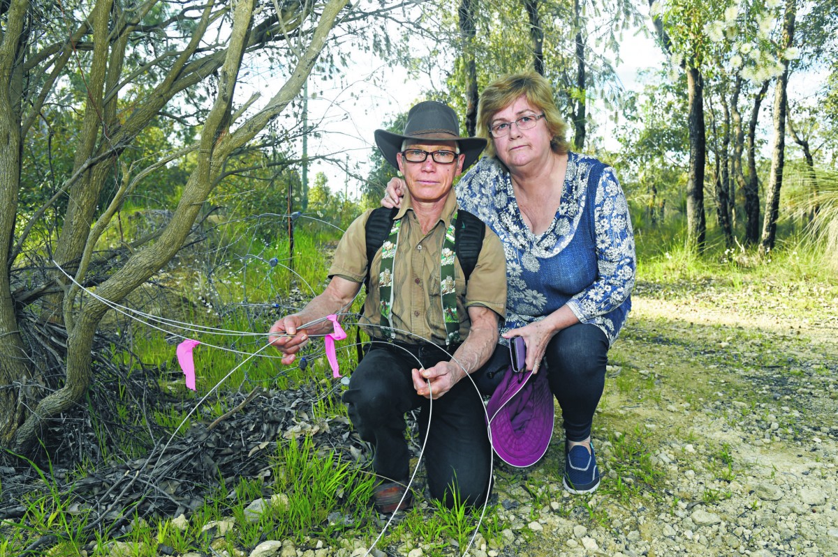 Vandals threaten nature reserve