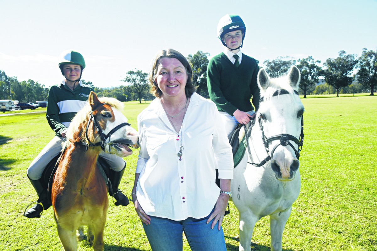 SJ’s equine business boom