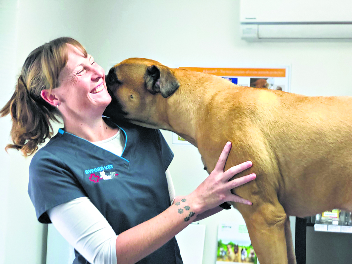 For the love of animals