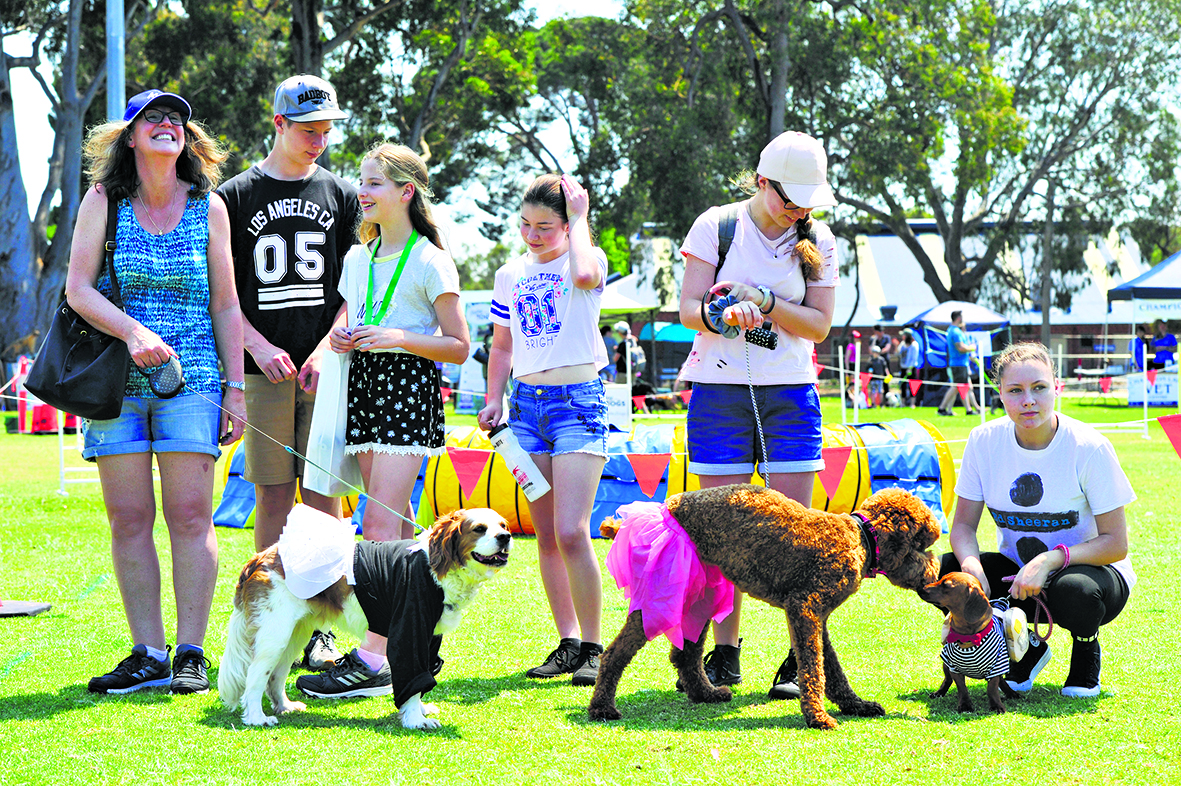 Park filled with lots of puppy love