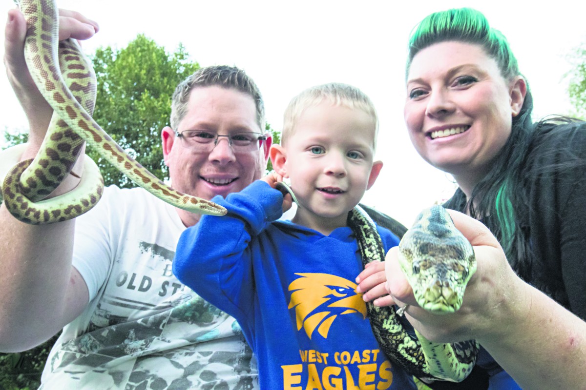 Snake expert urges caution with our slithery friends