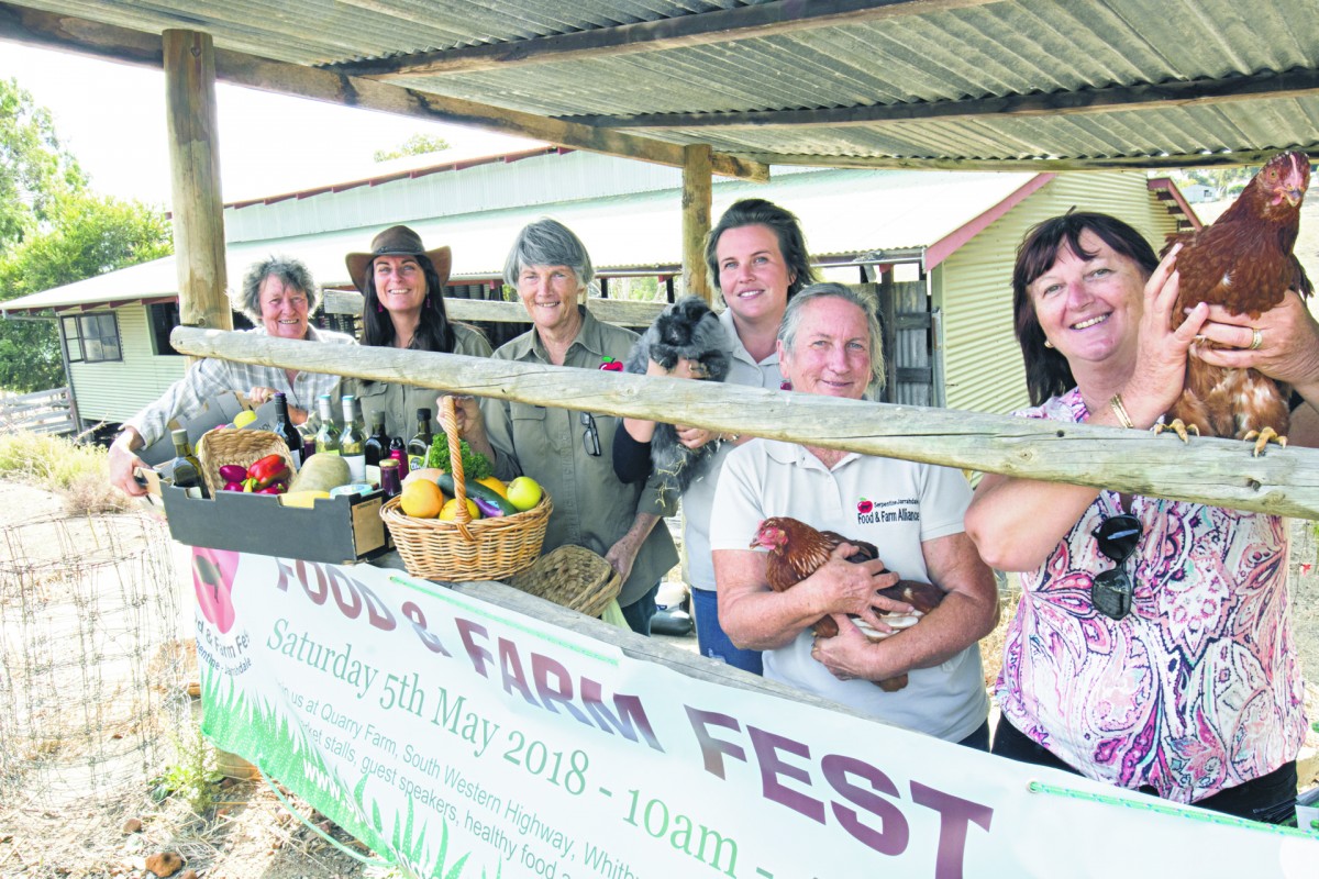 Council throws festival a lifeline