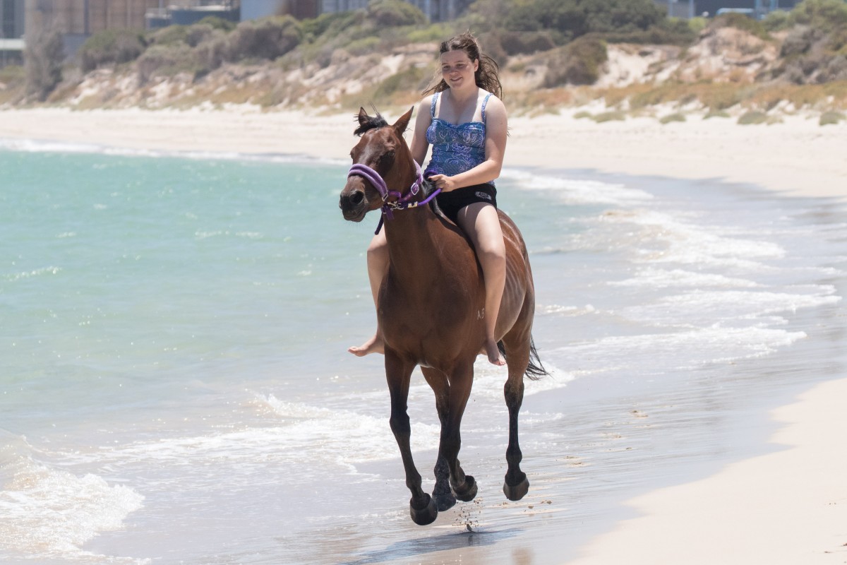 An inspiration in the equine industry