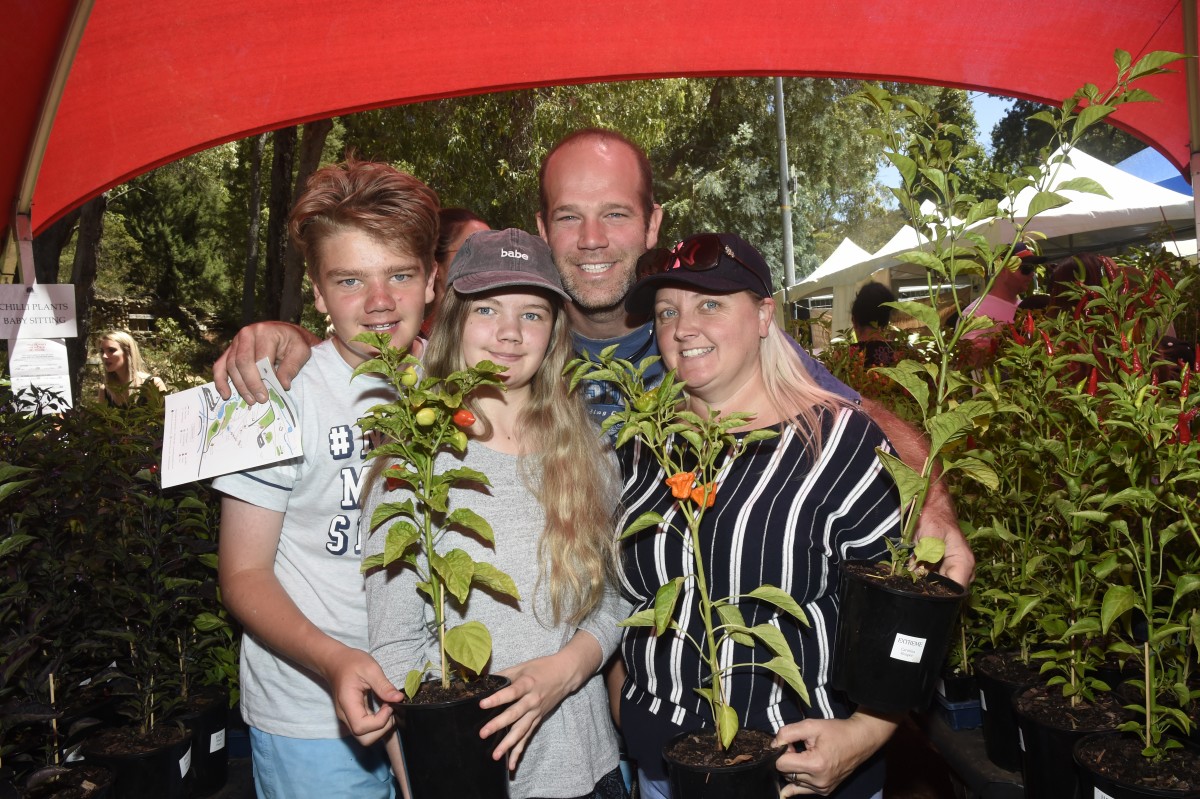 Annual festival a hot attraction