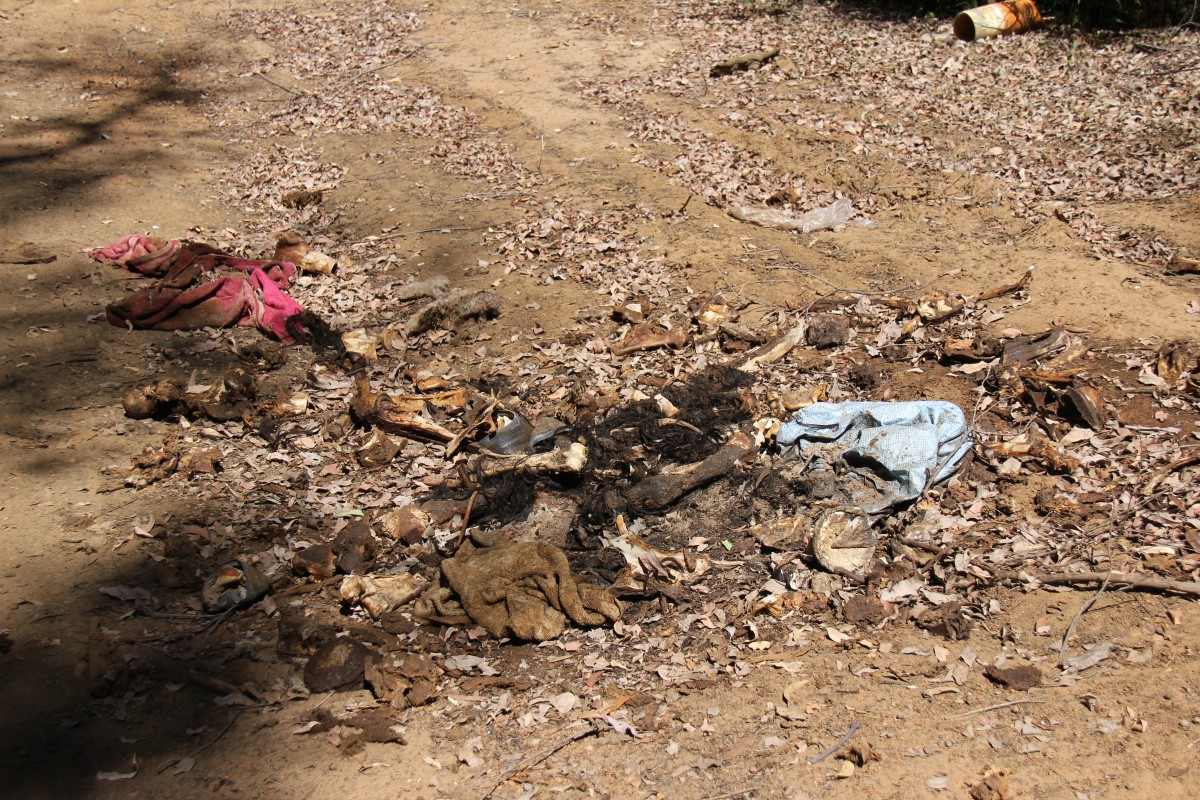 Horse remains found in bushland