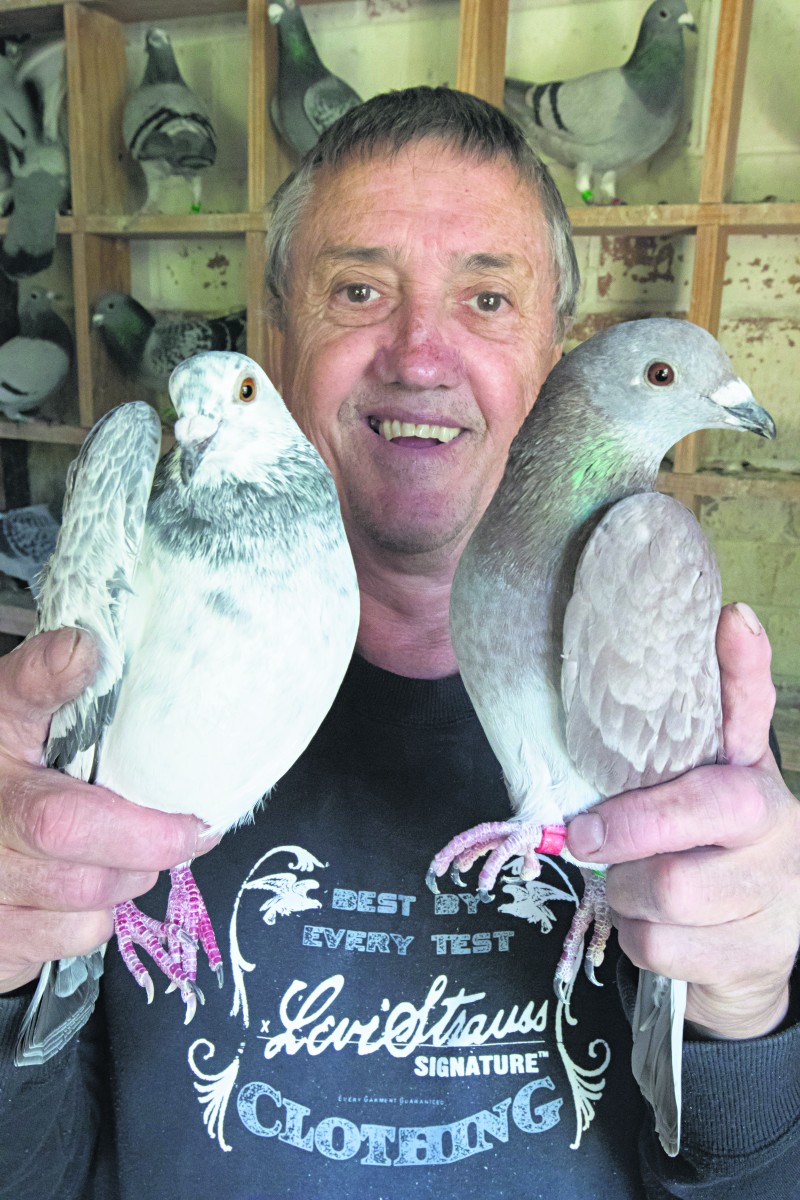 Local’s racing passion has gone to the birds