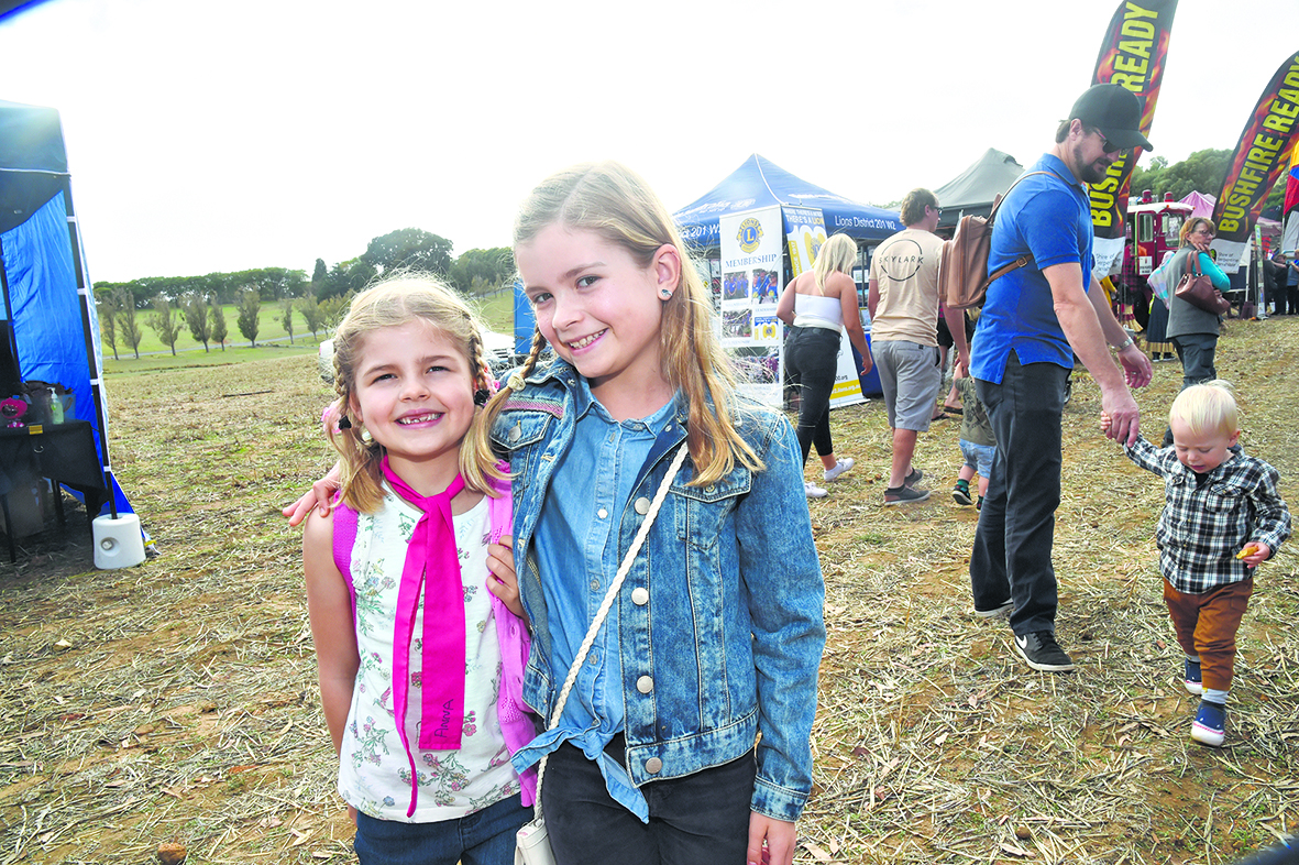 Down to earth festival a huge success