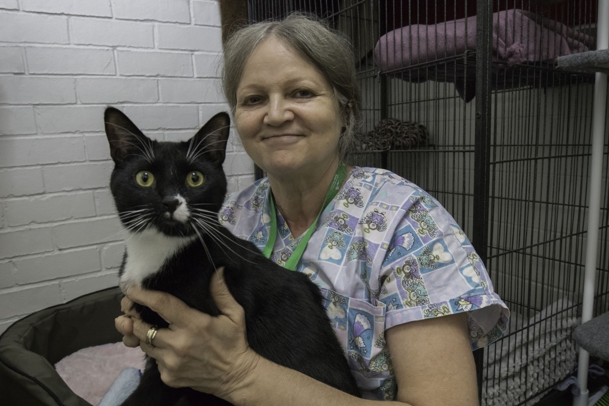 Local pets gets the snip