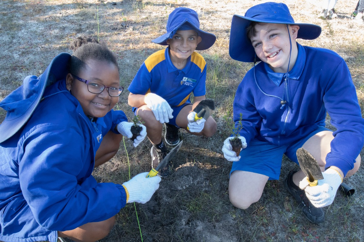 Students connect to the land with trees