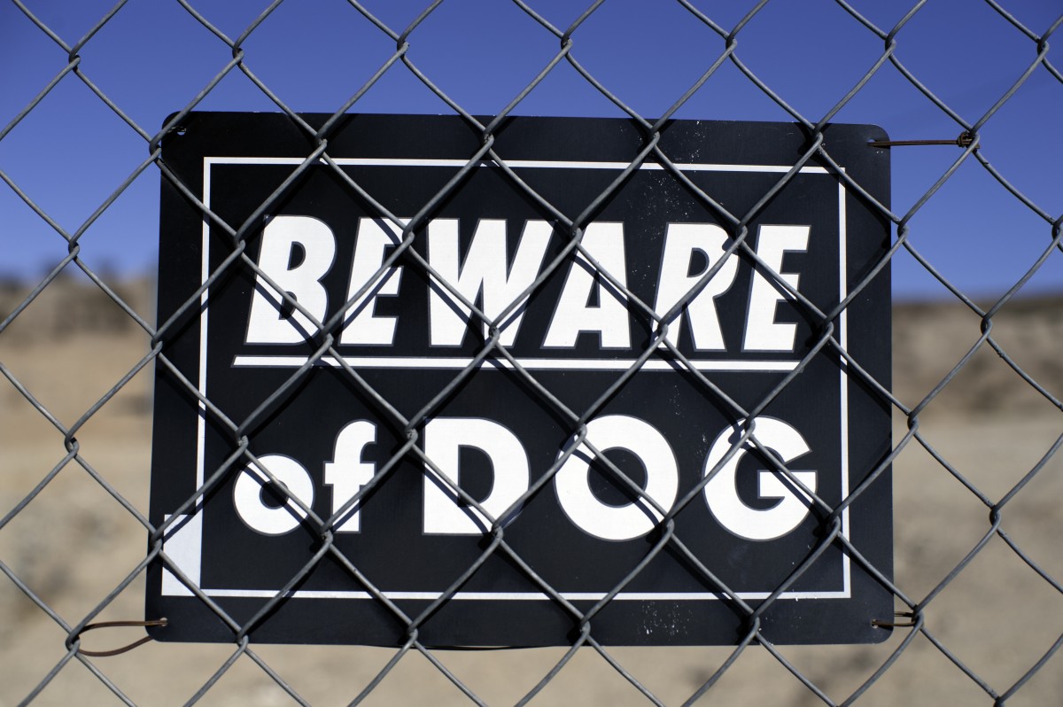 Couple fined $24K for dog attacks