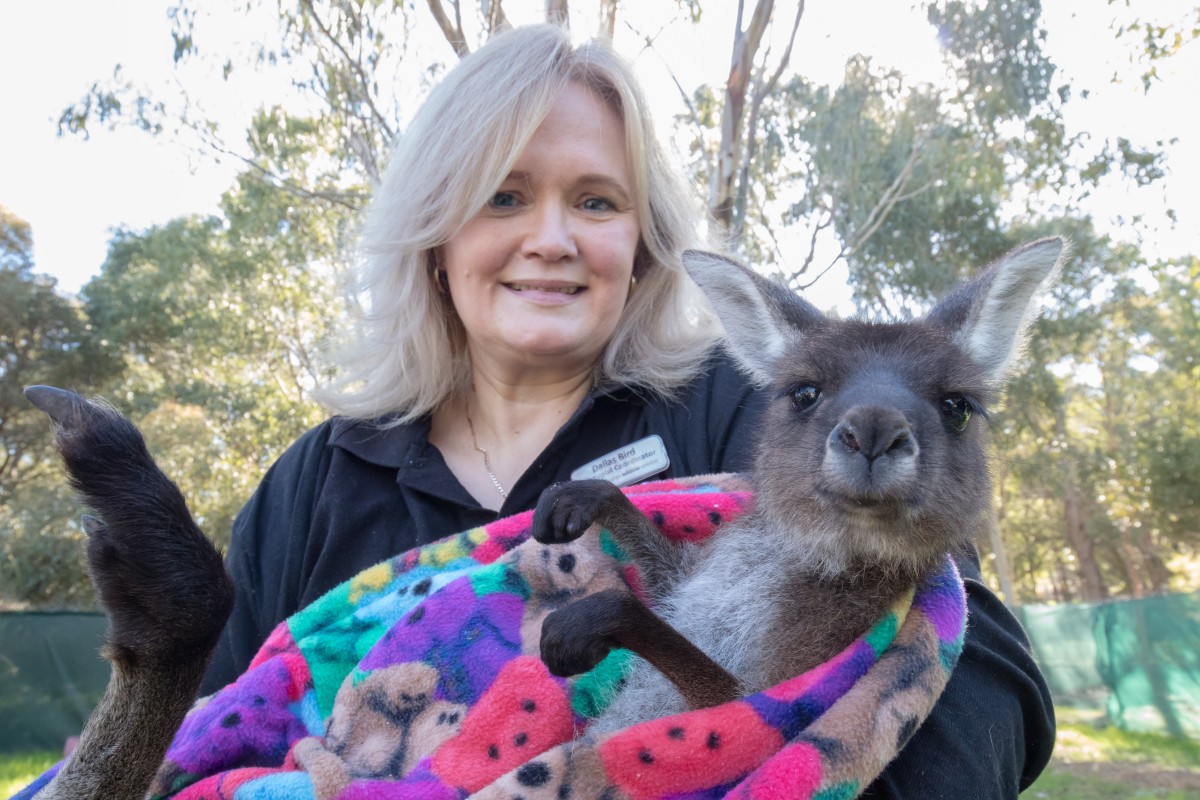 Fun night’s serious side