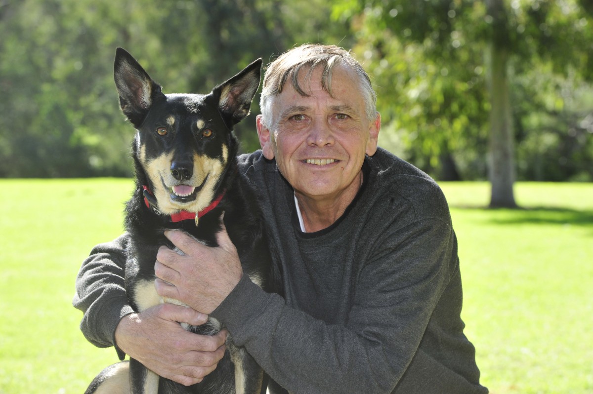 Man’s best friend is on the mend