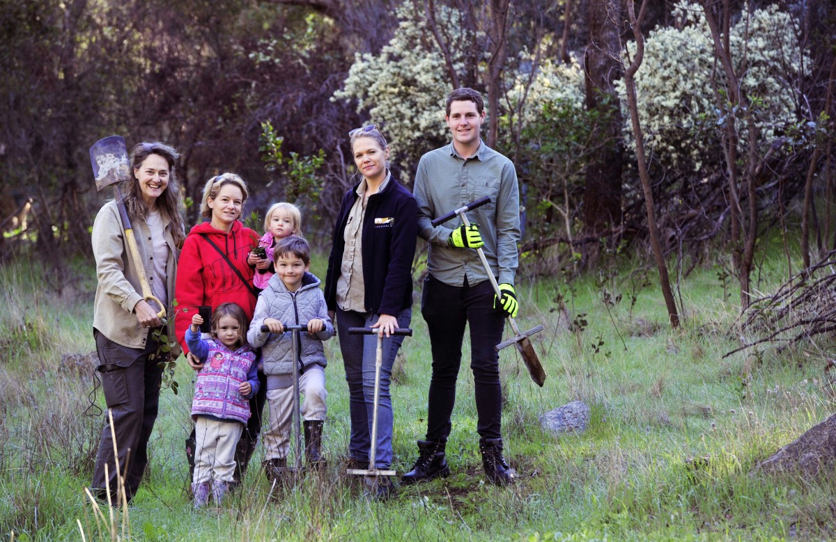Can you help preserve the threatened Banksia Woodland?