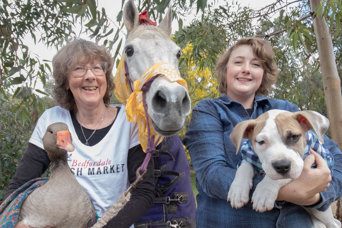 Pets of all shapes and sizes welcome at markets